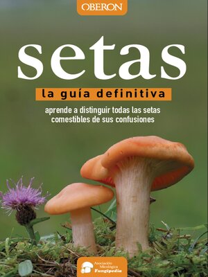 cover image of Setas
